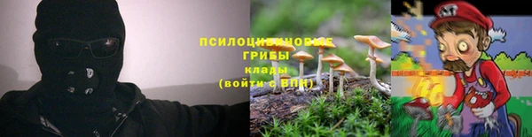 кристаллы Алексин