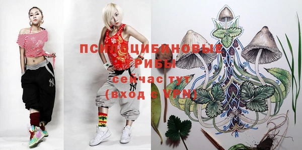 амфетамин Алексеевка