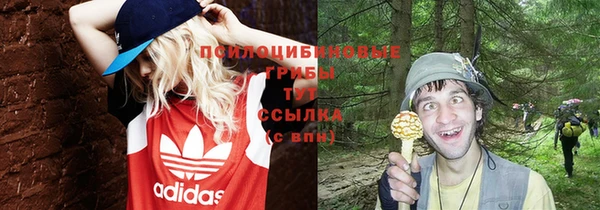 кристаллы Алексин