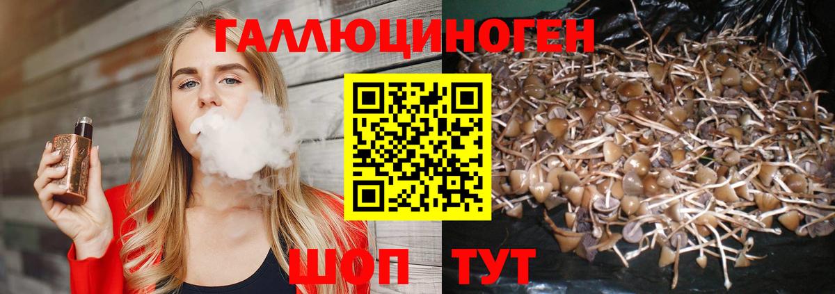 Урай  Псилоцибиновые грибы Psilocybine cubensis  Вход с VPN  Псилоцибиновые грибы Psilocybine cubensis 